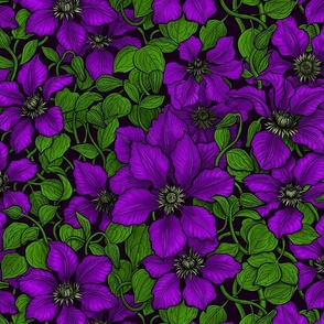 Purple Clematis vine
