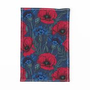 Red poppies and blue cornflowers on blue