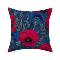 Red poppies and blue cornflowers on blue
