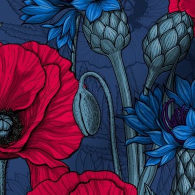 Red poppies and blue cornflowers on blue