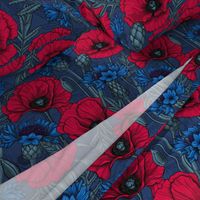 Red poppies and blue cornflowers on blue