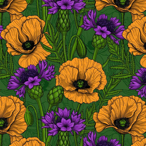 Orange poppies and violet cornflowers