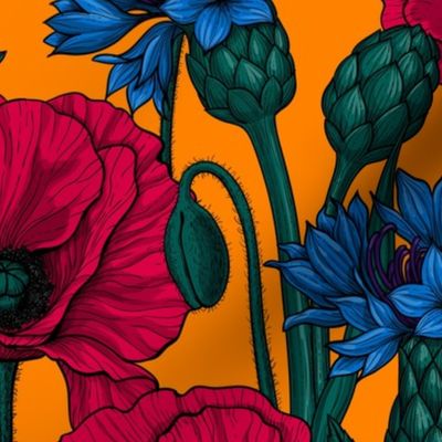 Red poppies and blue cornflowers on orange