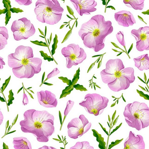 Evening primrose seamless pattern