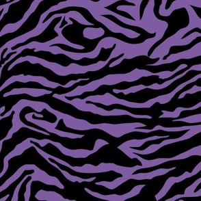 Crazy zebra purple