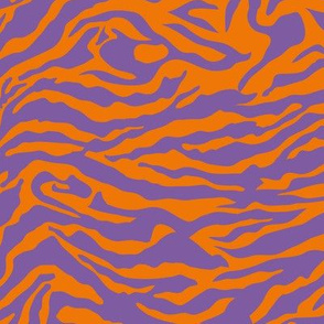 Crazy zebra purple and orange