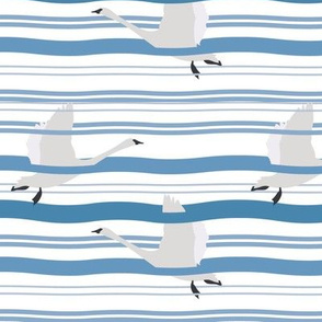 Birds in a Striped Sea