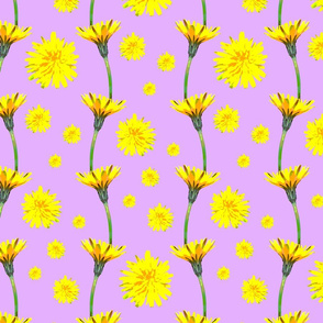 Pop-Art Dandelion Chains on Candy Lilac