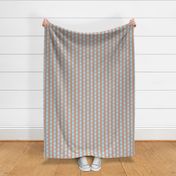 JP18 -  Medium - Art Deco Checked Stripes in Sky Blue and Rustic Peach