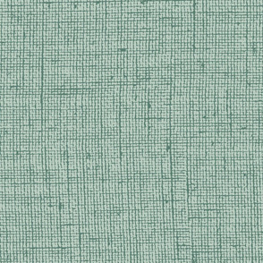 Linen Textured Solid - Mint Green