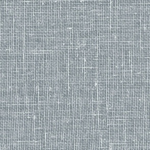 Linen Textured Solid - Light Steel Grey