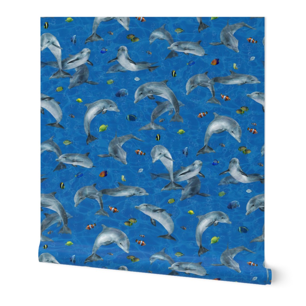 Dolphins In Ocean with Tropical Fish