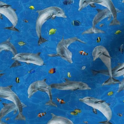 Dolphins In Ocean with Tropical Fish