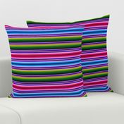 Mexican Serape Design