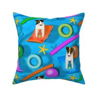Parson / Jack Russell Terriers pool party II - large