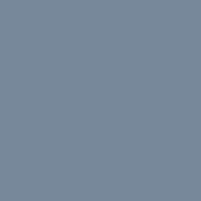 Calm Dark Steel Blue Grey Solid / Neutral