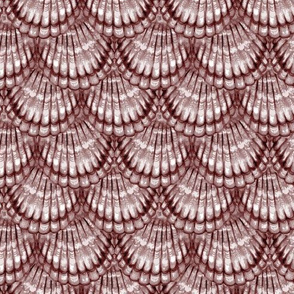 Scallop Shells Brown