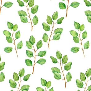 Eucalyptus watercolor pattern on white 2