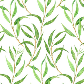 Eucalyptus watercolor pattern on white 3