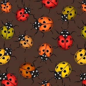 Colorful ladybugs on dark brown