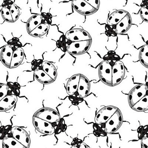 Ladybugs in black and white