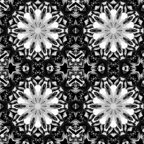 Black and White Mandala Kaleidoscope Geometric Pattern