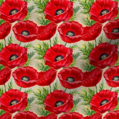 Red vintage poppies