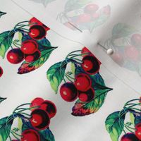 Vintage cherry print 2