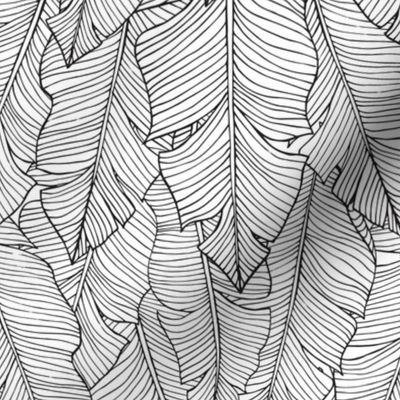 Banana Leaves Line Art - White and Black