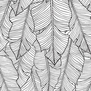 Banana Leaves Line Art - White and Black