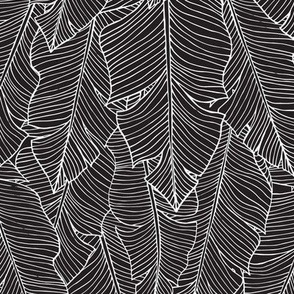 Banana Leaves Line Art - Black and White