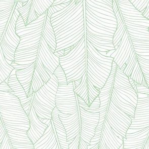 Banana Leaves Line Art - White and Green