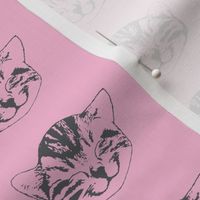 Kitty Small Pink Gray