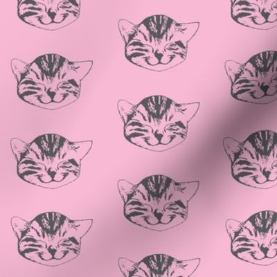 Kitty Small Pink Gray