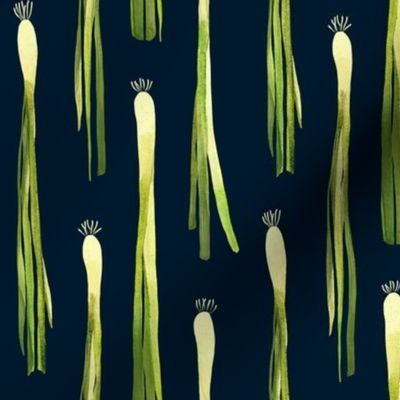 Spring Onions in Rows