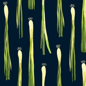 Spring Onions in Rows
