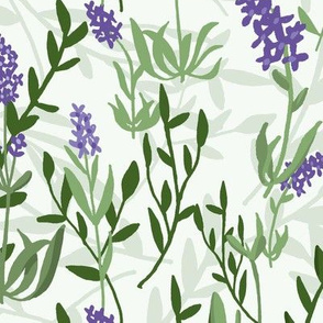 Lavender Fields-Cream