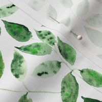 Jade green Silence in the forest - watercolor leaves - nature leaf pattern p310-1