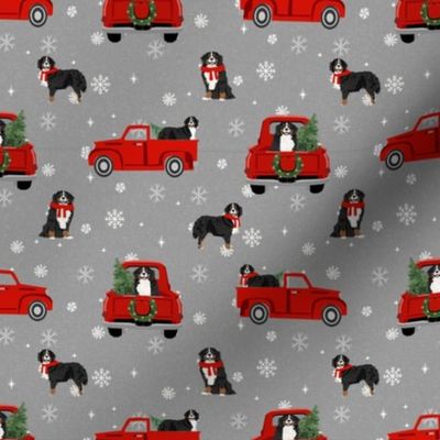 bernese mountain dog christmas truck fabric - red christmas truck - grey