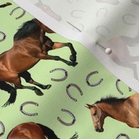 Horses and Horseshoes Green