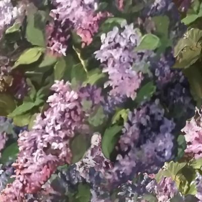 Lilac Visions - Quiet Spaces Challenge