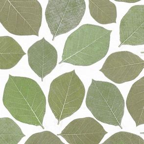 Magnolia Leaves olive green white