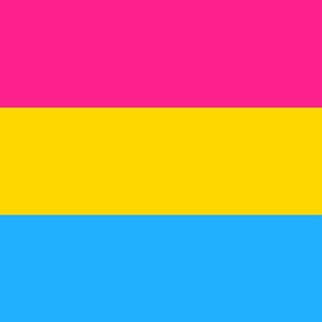 Pansexual Pride 6" Stripes - Extra Large