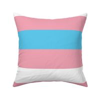 Transgender Pride 3.6" Stripes - Extra Large