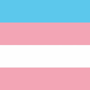 Transgender Pride 3.6" Stripes - Extra Large