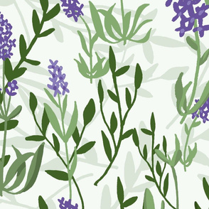lavender fields_Lg scale