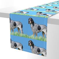 Bluetick Coonhound