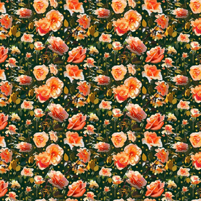 peach roses 