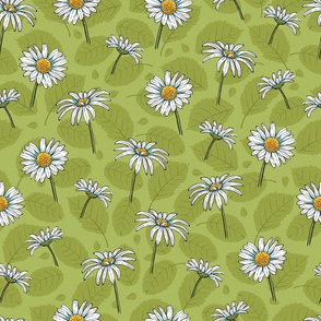 Daisies on Leaves