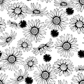 Black and White Daisies